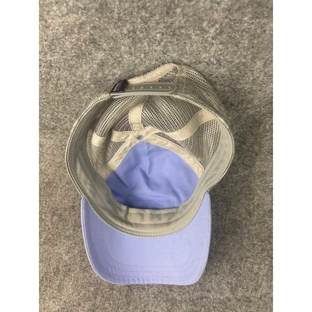 Patagonia trucker hat